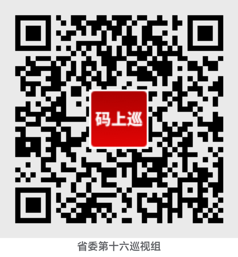省委第十六巡查组巡查豫信电子科技团体无限公司党委使命带动集会召开 省委第十六巡查组巡查豫信电子科技团体无限公司党委使命带动集会召开